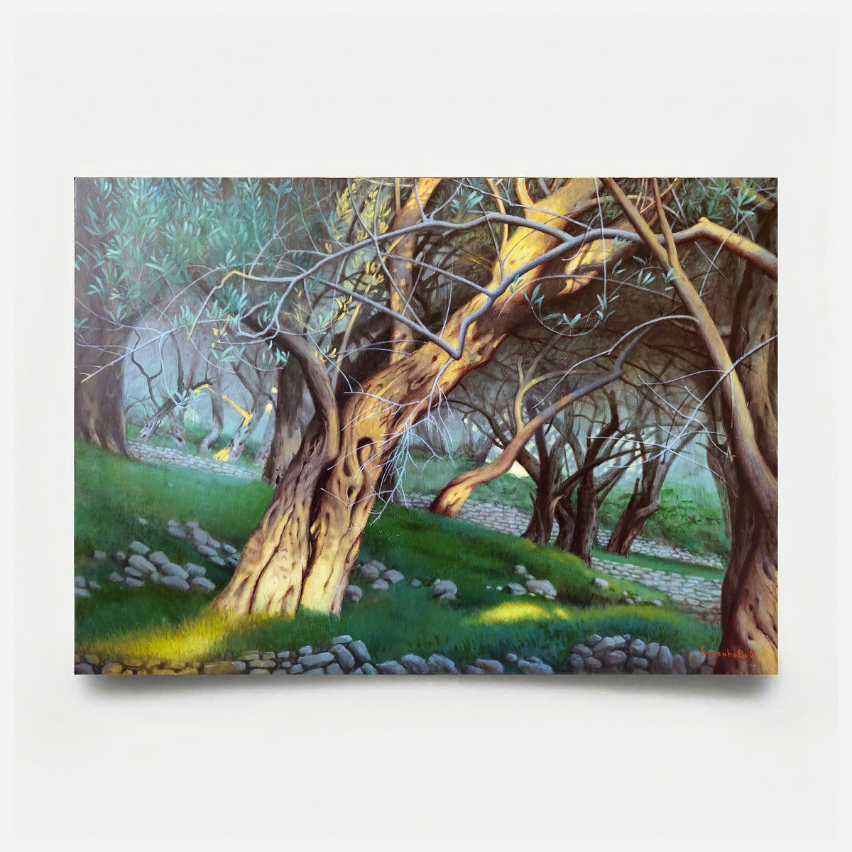 Olive Grove II-8 2026