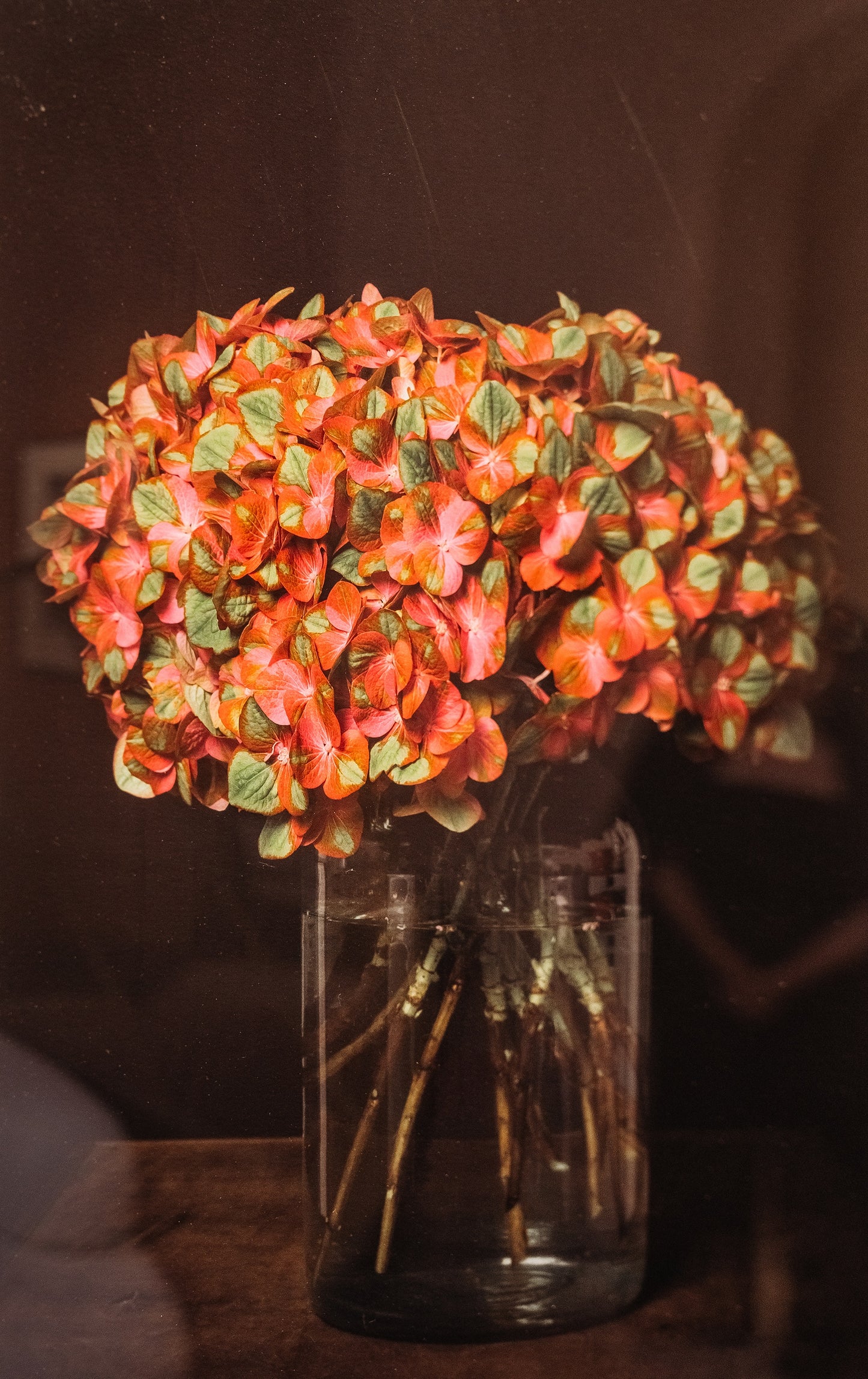Flowers #3 2016