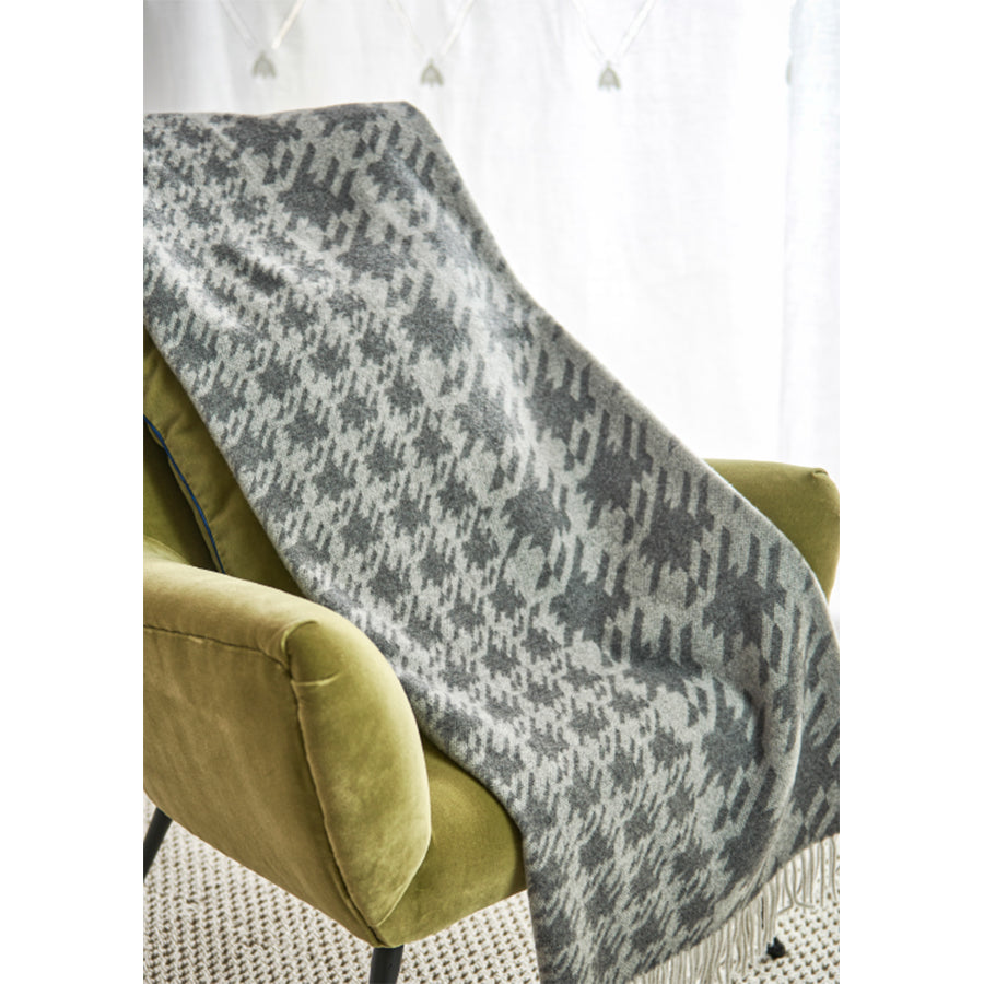 Theodore Pied de Poule