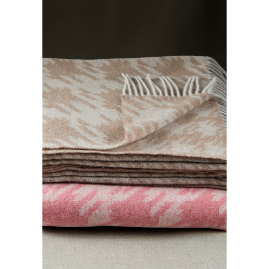 Theodore Pied de Poule