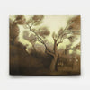 Olive Grove 8 2012