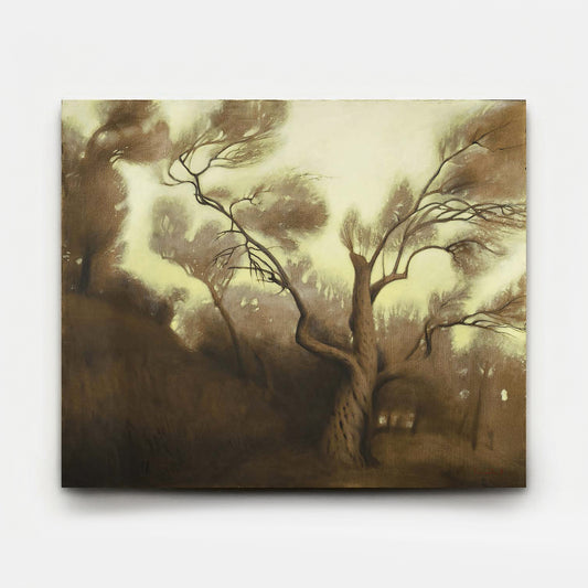 Olive Grove 8 2012