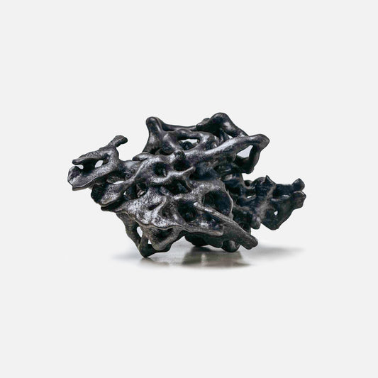 Trama of Hymenoptera