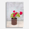 Geraniums 2019