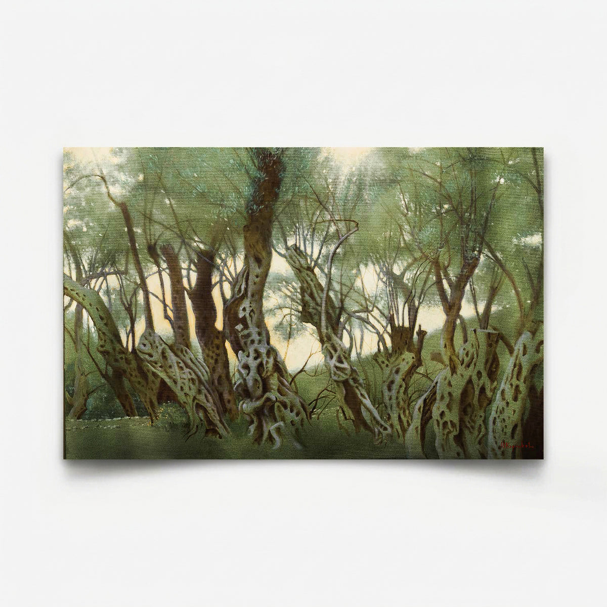 Olive Grove II-6 2026