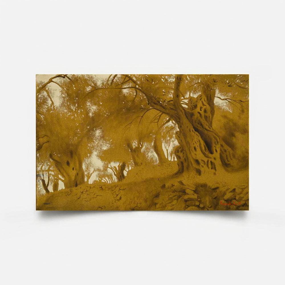 Olive Grove 11 2012