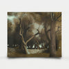 Olive Grove 7 2012