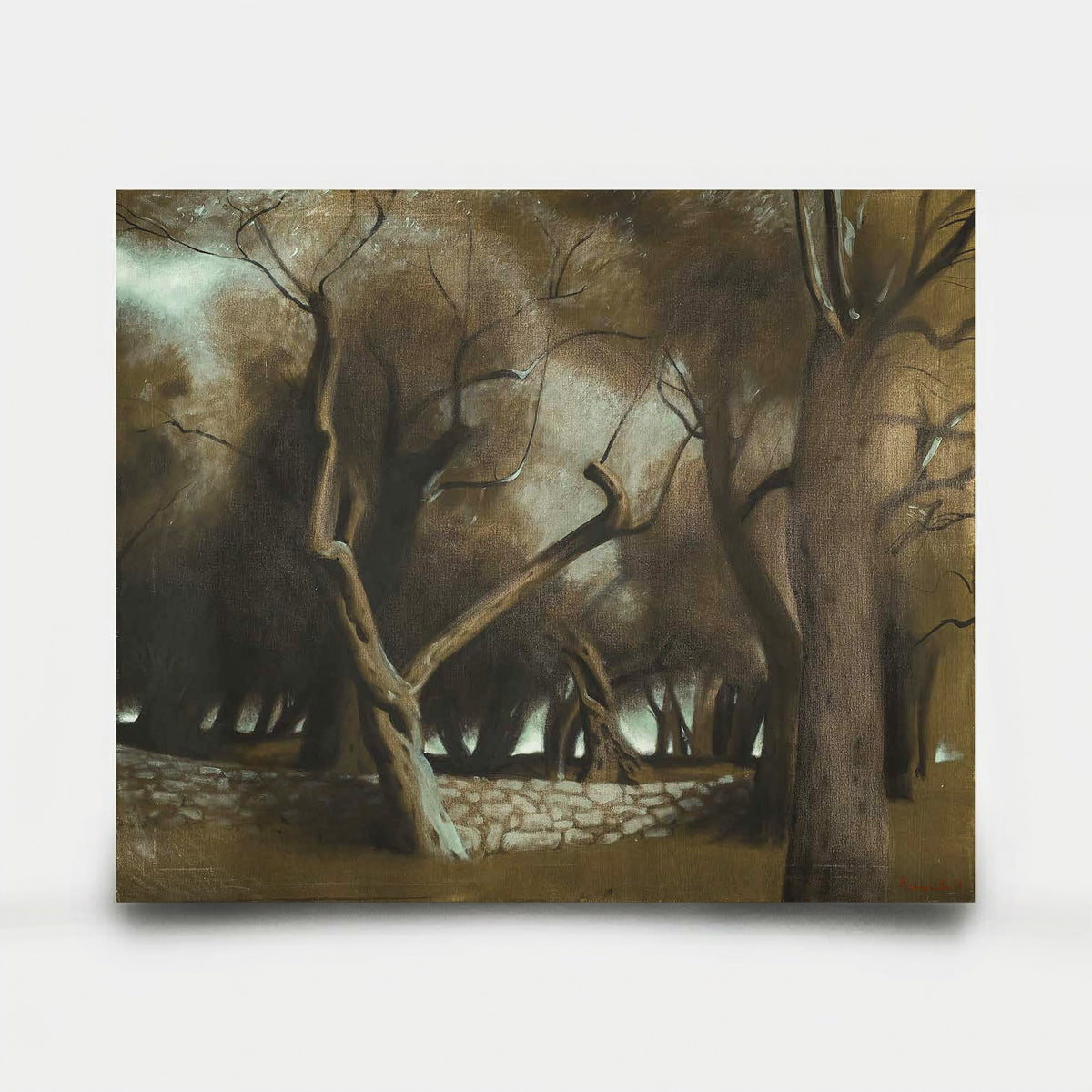 Olive Grove 7 2012