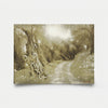 Olive Grove 10 2012