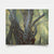 Olive Grove II-4 2026