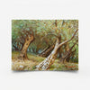 Olive Grove II-1 2026