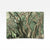 From the Series "Olive Grove" 1 2026