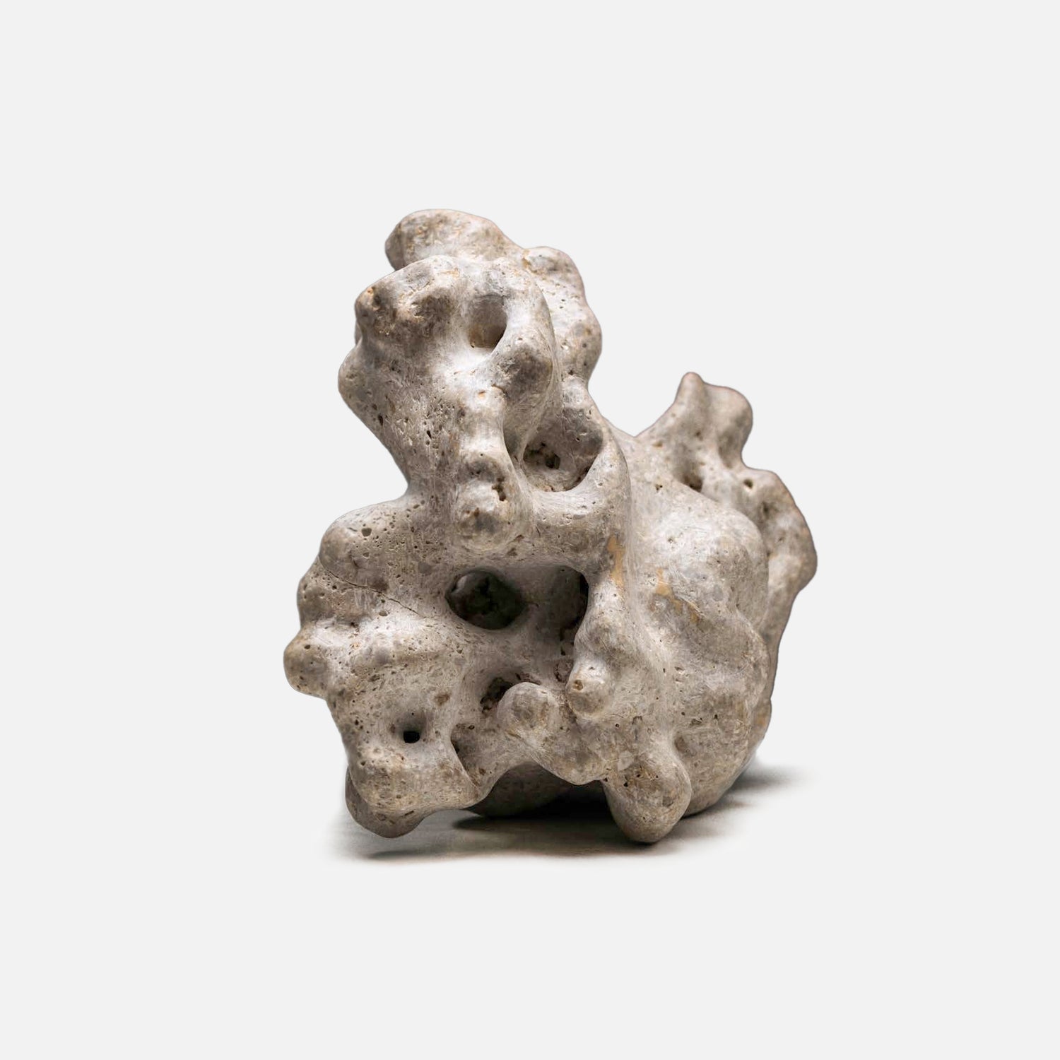 How to Pierce a Gentle Word