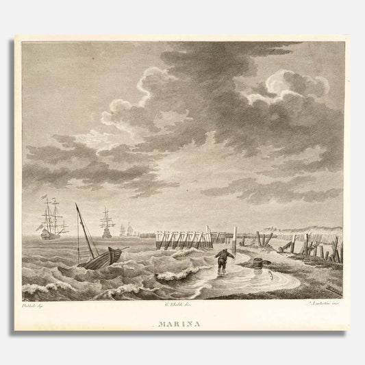 Coastal View