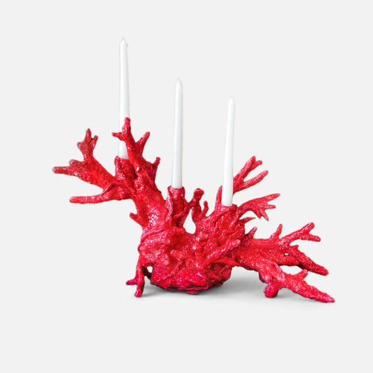 Corals 4310-P