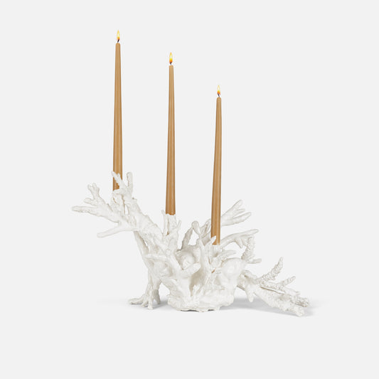 Coral Branches 4310
