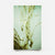 Olive Grove II-7 2026