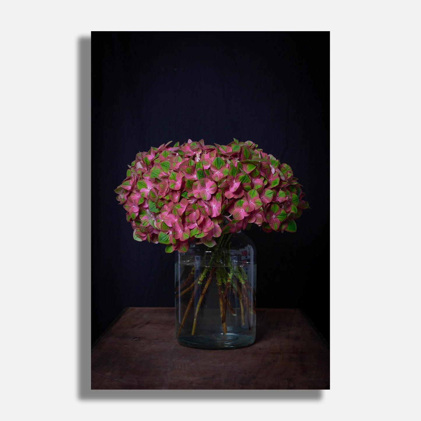 Flowers #3 2016