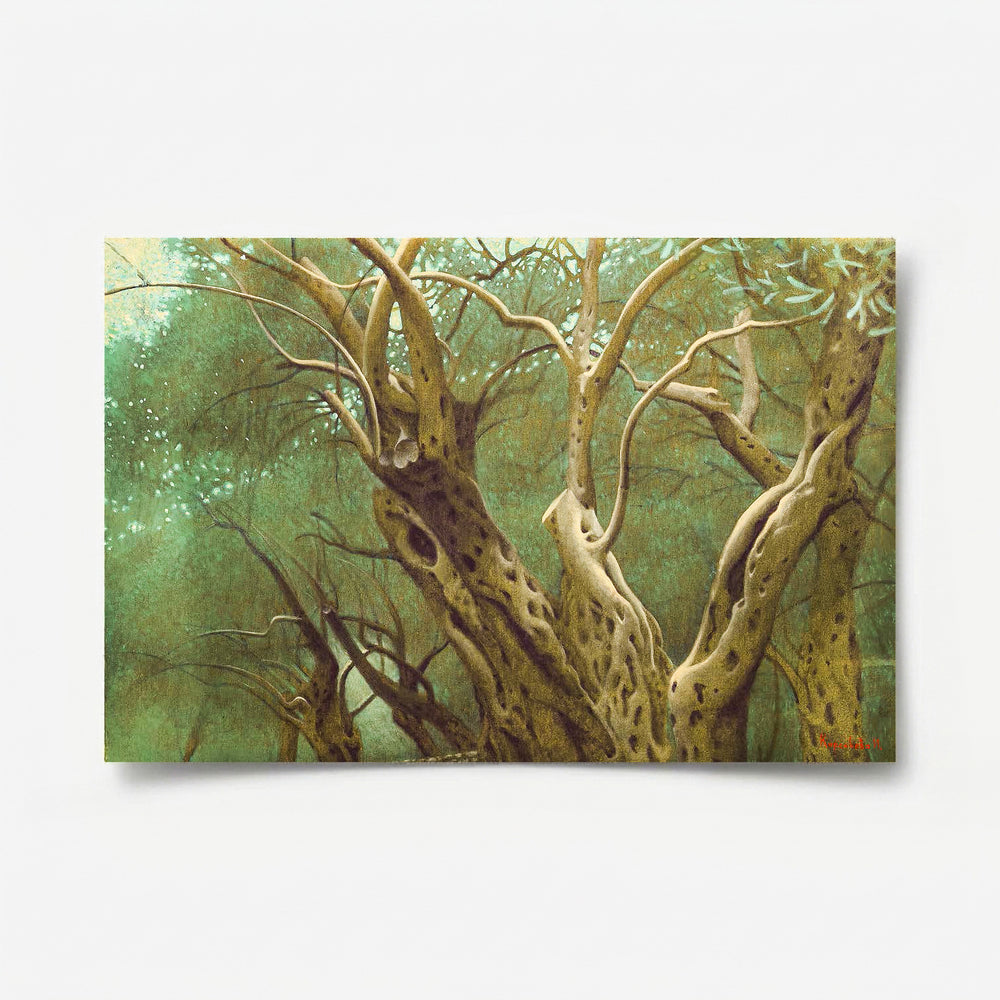 Olive Grove II-5 2026
