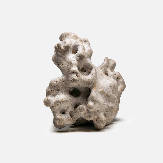 How to Pierce a Gentle Word