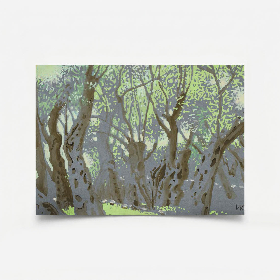 From the Series "Olive Grove" 3 2026