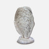 Vase Shell 2026