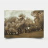 Olive Grove 5 2012