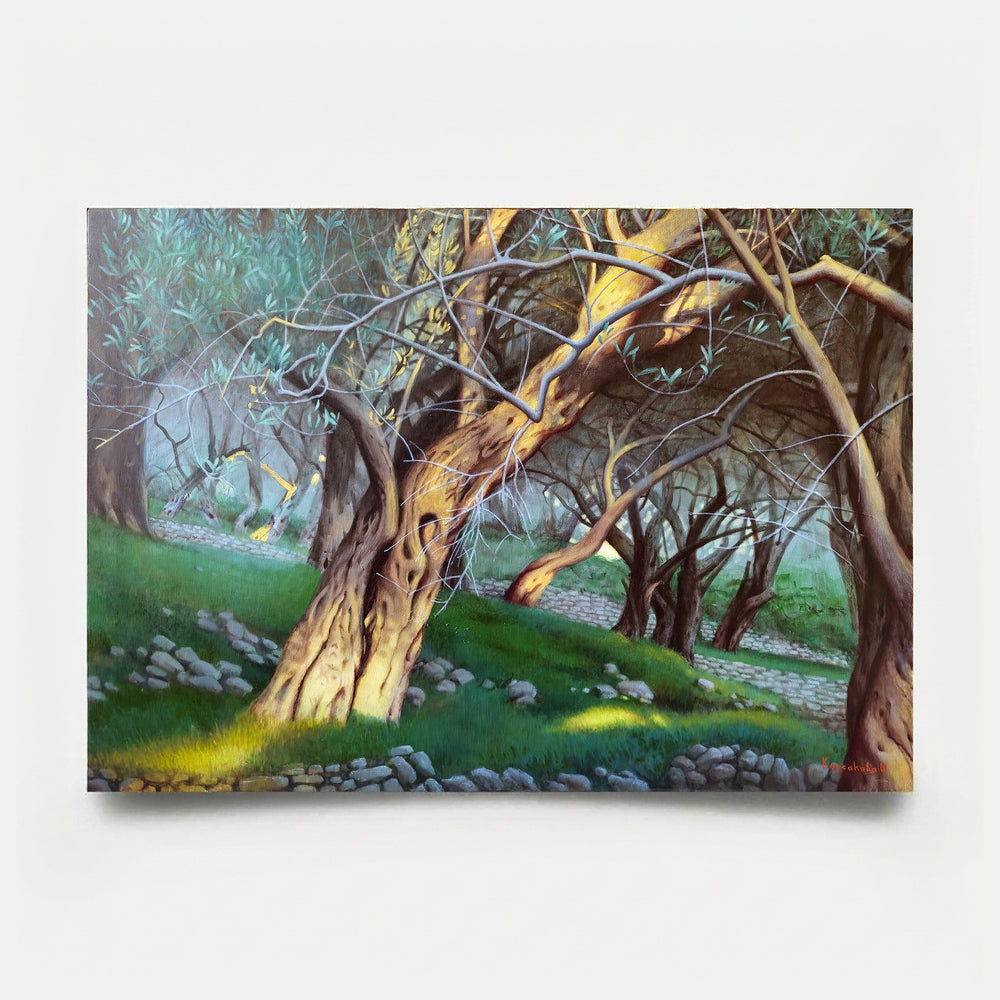 Olive Grove II-8 2026