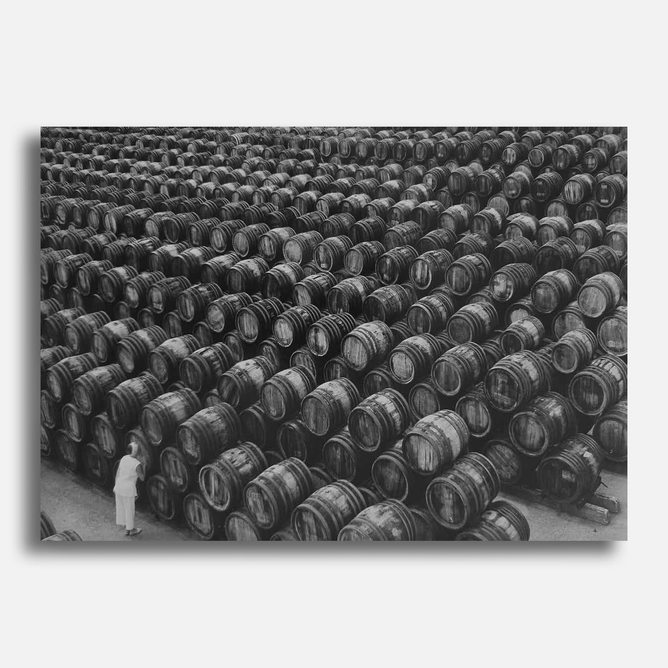 Crimea. From the Series "Barrels". A Kiss 2006