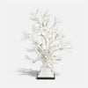 Coral Branches 4506