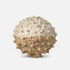 Vase with Spikes 2025