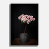 Flowers #5 2016