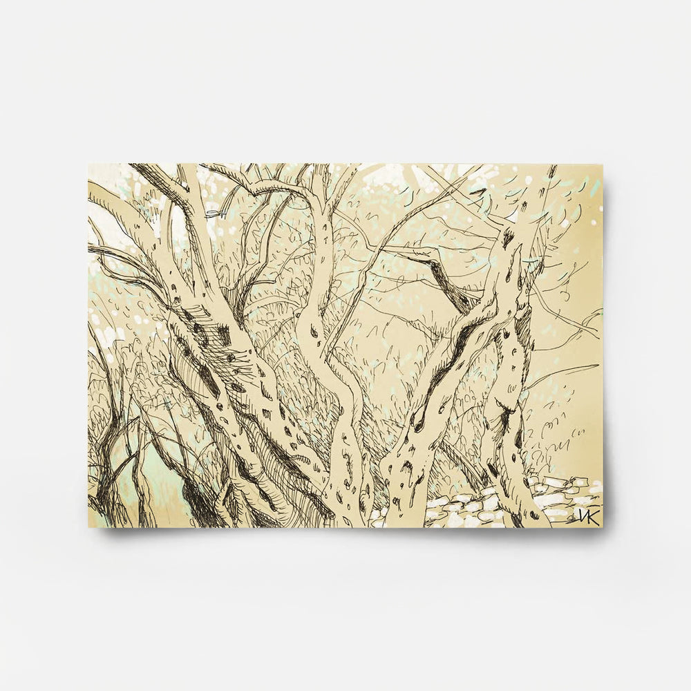 From the Series "Olive Grove" 2 2026