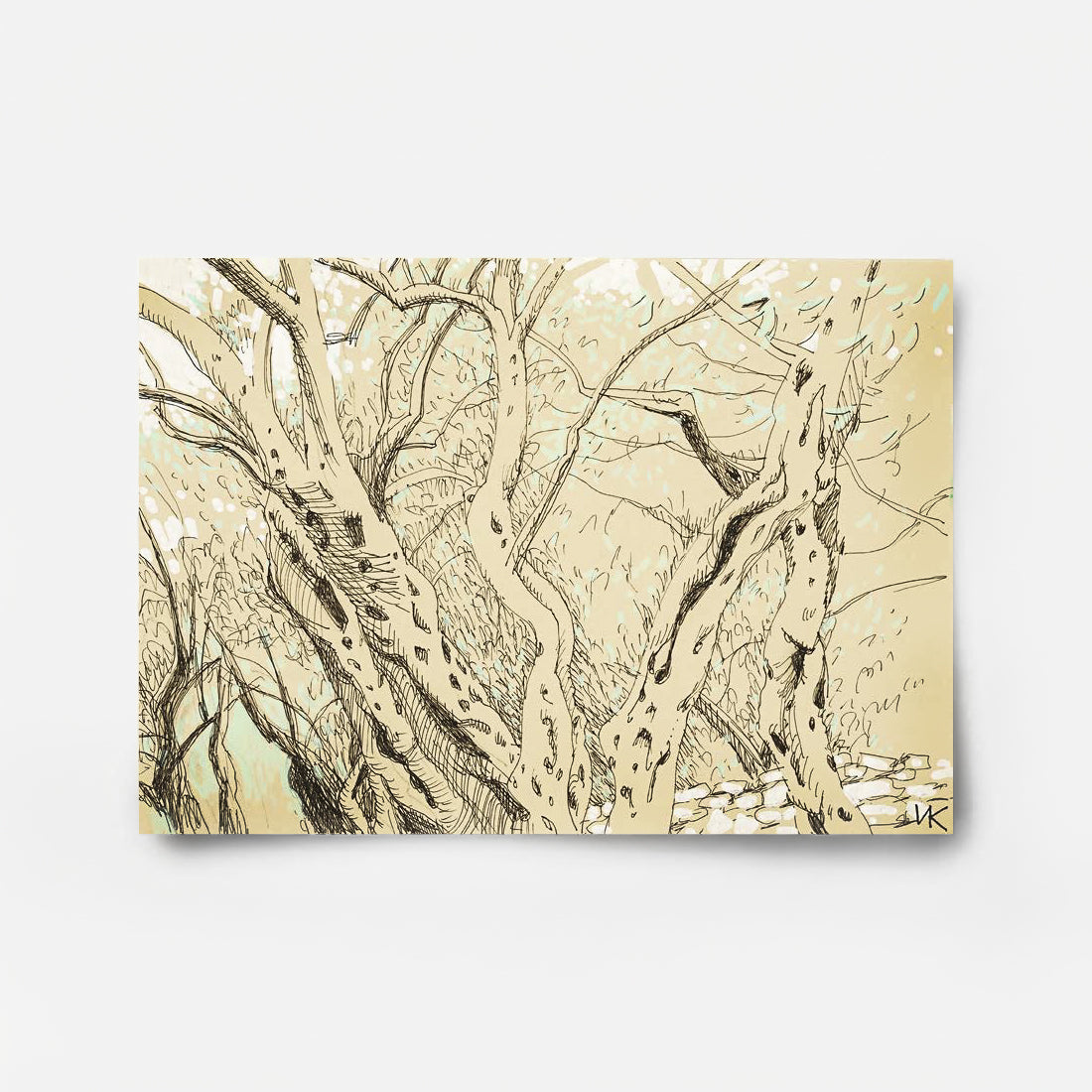 From the Series "Olive Grove" 2 2026