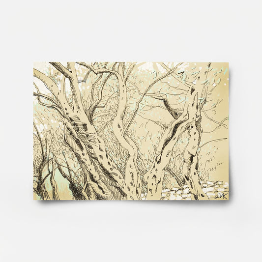 From the Series "Olive Grove" 2 2026