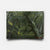 Olive Grove II-2 2026