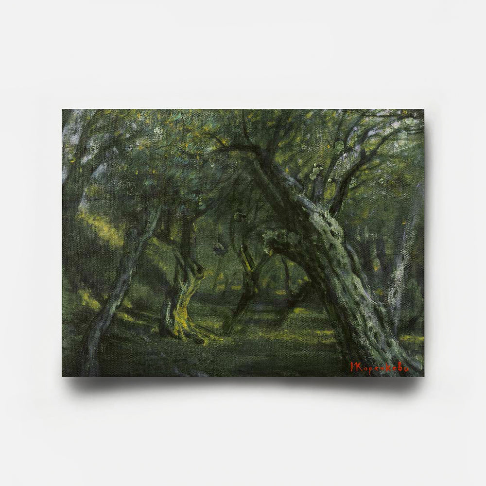 Olive Grove II-2 2026