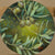 Painting Olive 2 2026