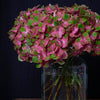 Flowers #3 2016