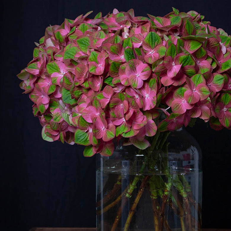 Flowers #3 2016