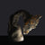 Lightosaur No. 3 2026