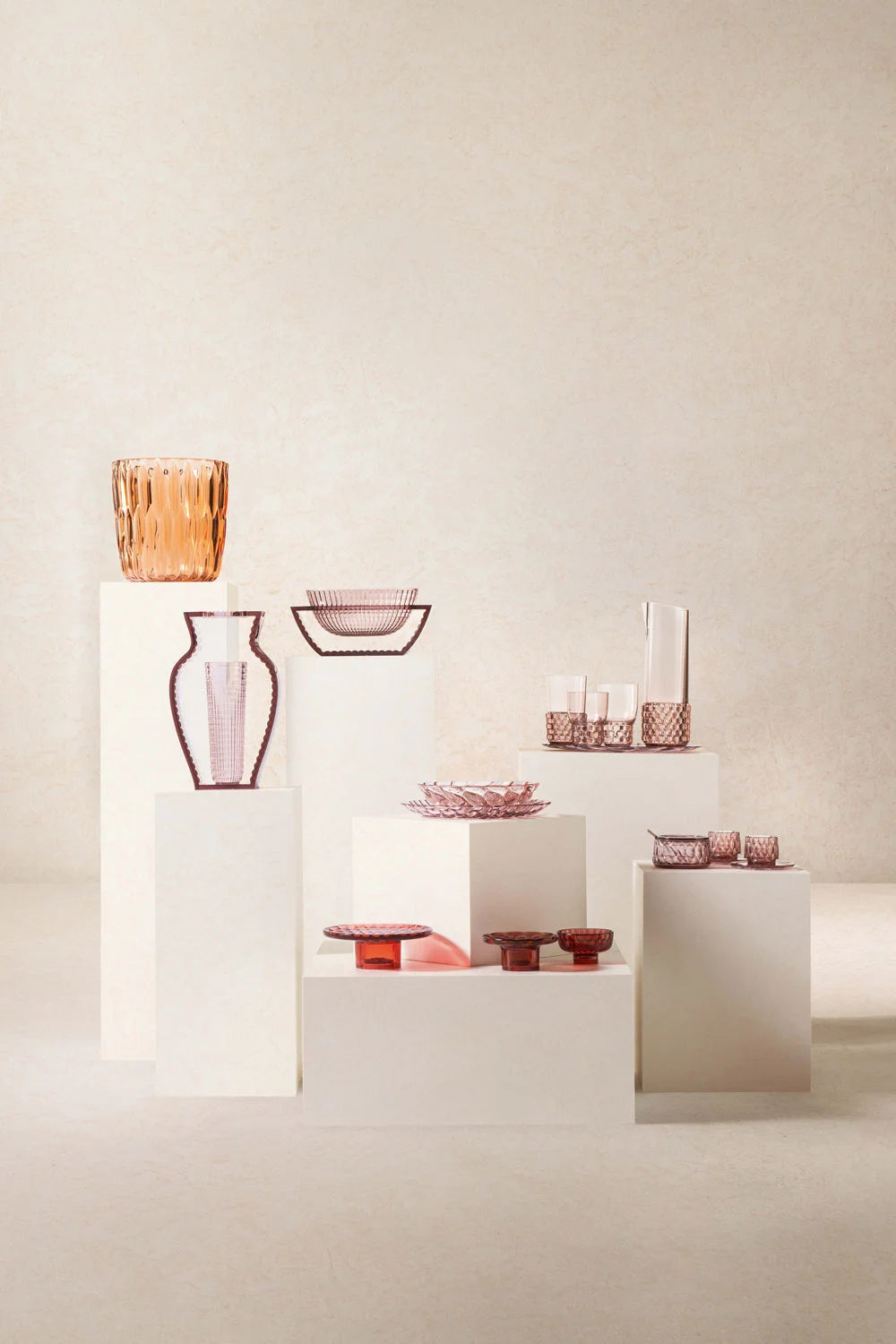 Jellies Family