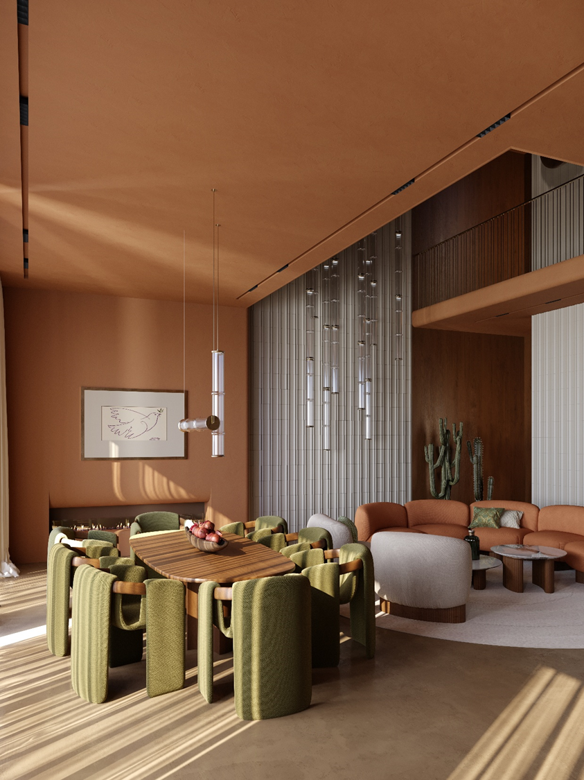 Villa's project