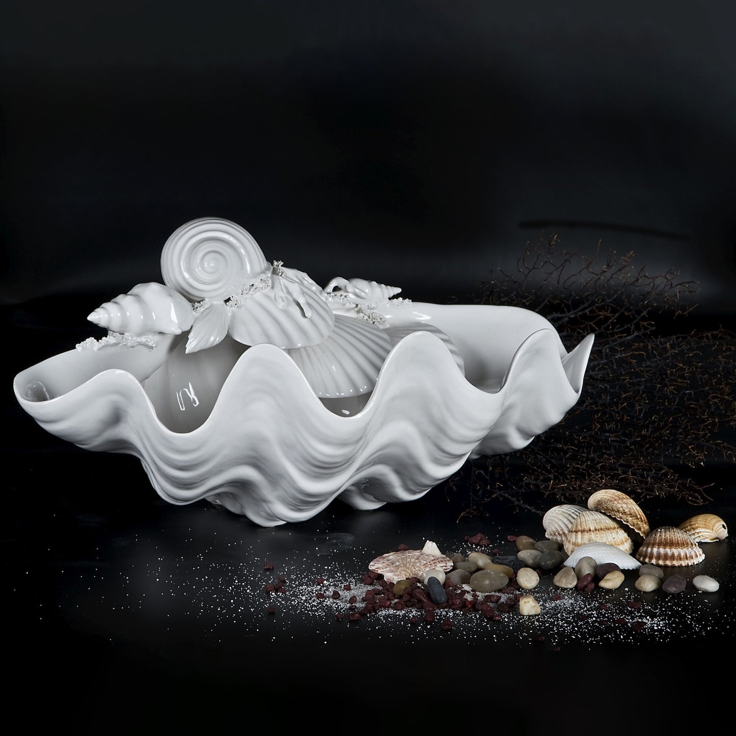 Tridacna with Scallops 4263