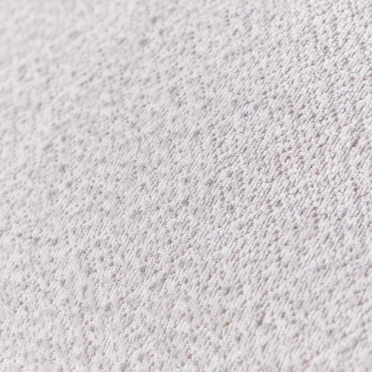 Banksia Silver 60x60