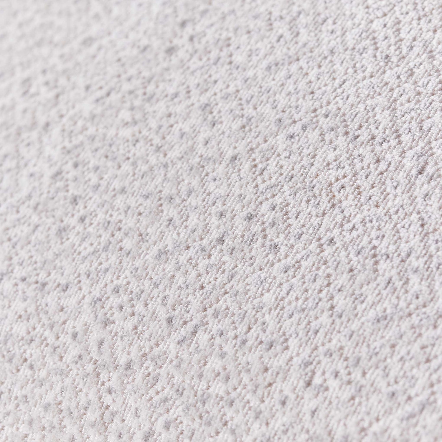 Banksia Silver 60x60