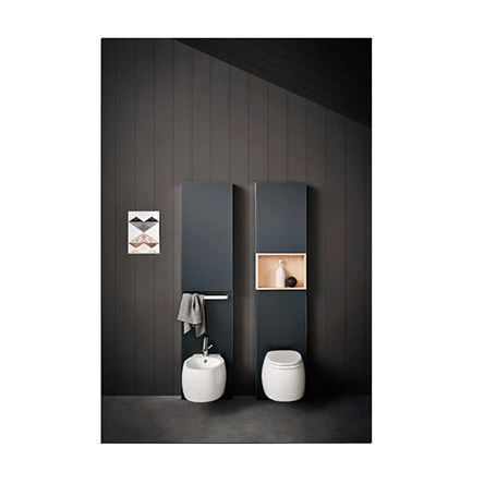 Accessories Agape Ceramic wall hung toilet Pear 2